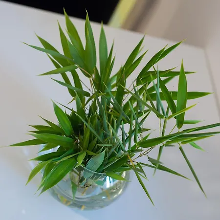 Comfort M&s Gasthof 3*